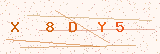 CAPTCHA security image